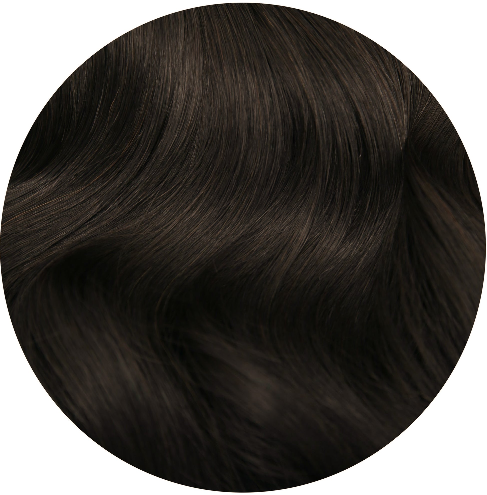 colour:#1BL Darkest Brown