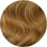 #23 Golden Blonde Seamless Tape In Extensions