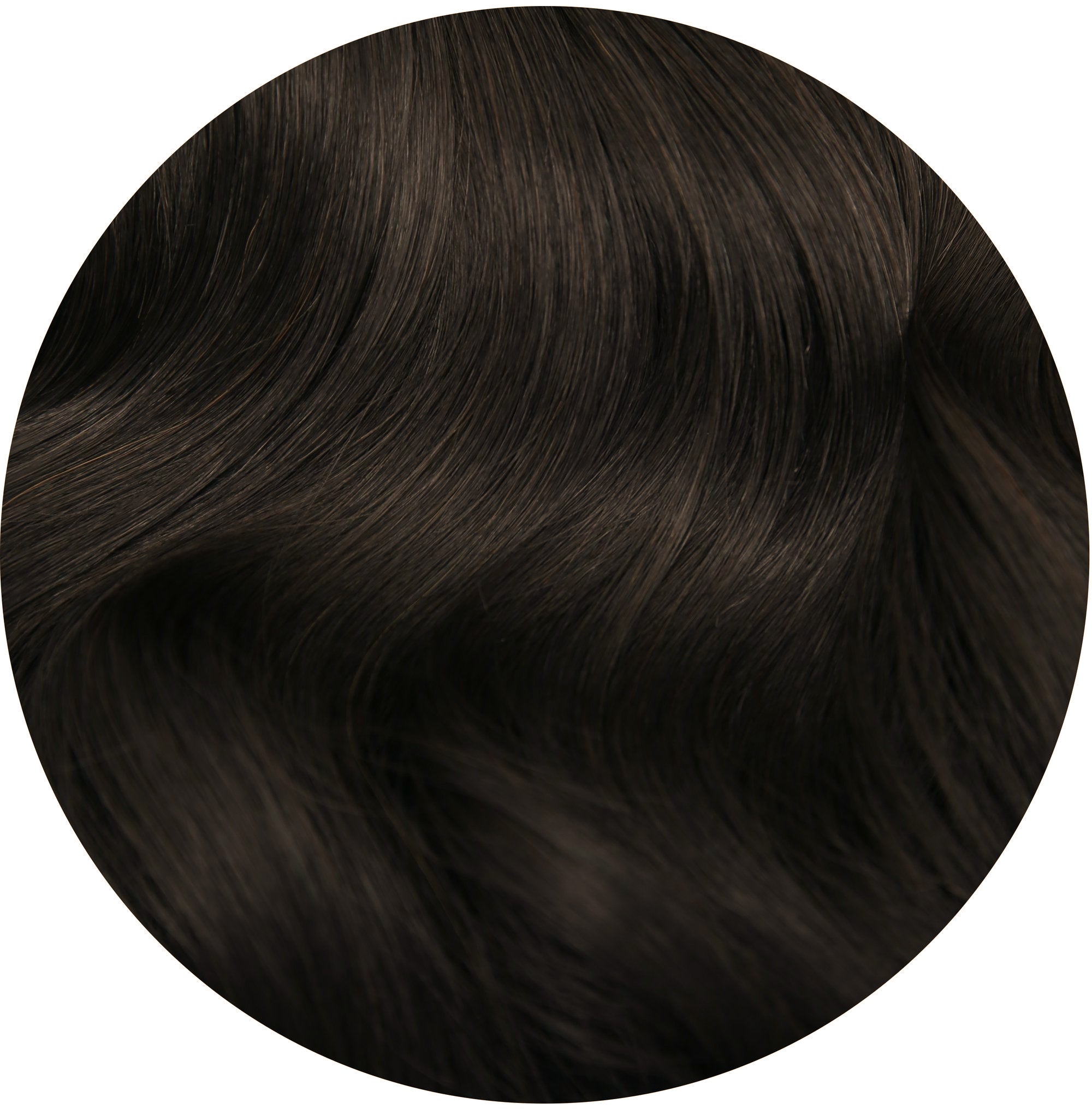 colour: 1BL Darkest Brown