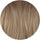 color: #Bronde Balayage