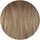 color: #Bronde Balayage