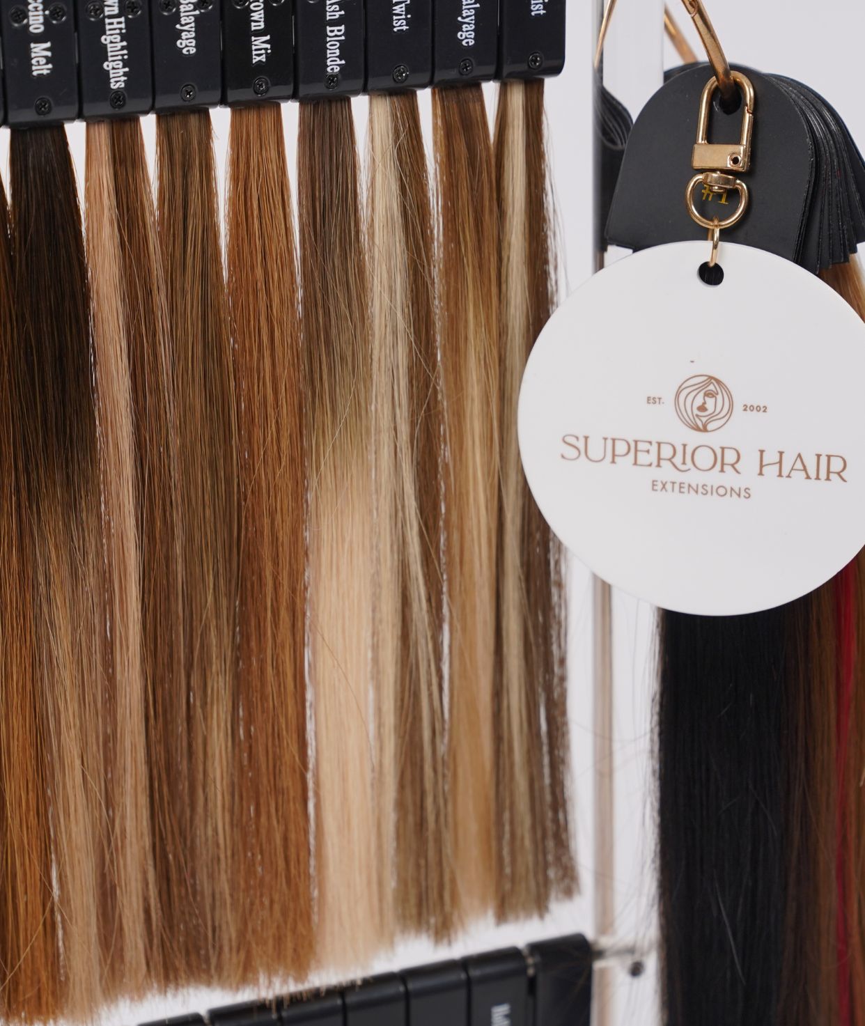 Superior Hair Color Stand